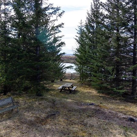 Gorgeous Riverside Lodge In The South Of Iceland レイクホルト エクステリア 写真